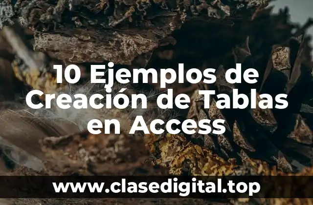 10 Ejemplos de Creación de Tablas en Access
