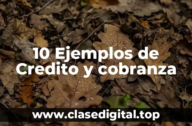 10 Ejemplos de Credito y cobranza