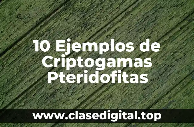 10 Ejemplos de Criptogamas Pteridofitas