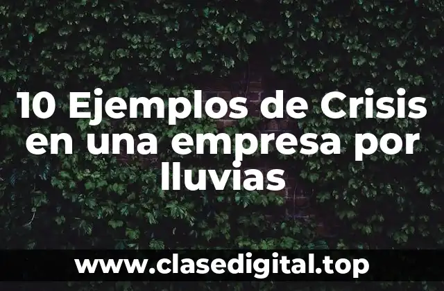 10 Ejemplos de Crisis en una empresa por lluvias