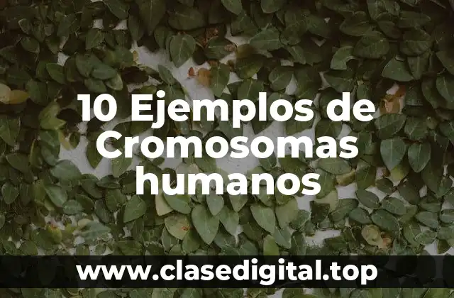 10 Ejemplos de Cromosomas humanos