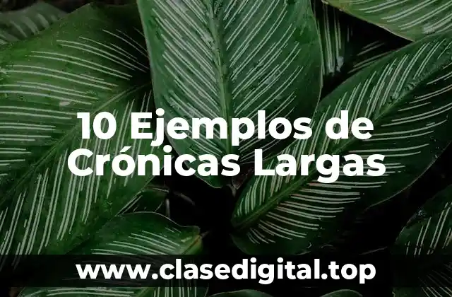 10 Ejemplos de Crónicas Largas