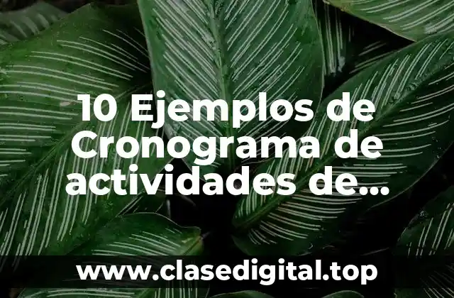 10 Ejemplos de Cronograma de actividades de enfermeria