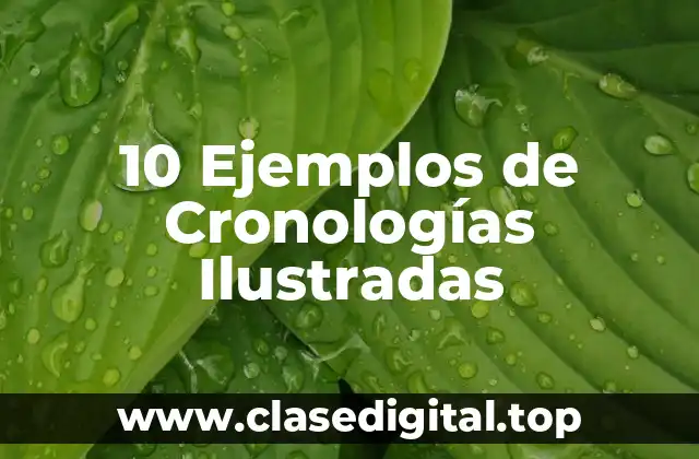 10 Ejemplos de Cronologías Ilustradas