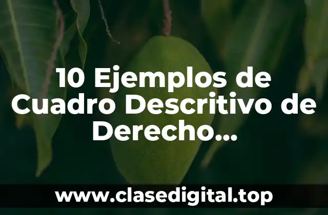 10 Ejemplos de Cuadro Descritivo de Derecho Diplomático, Definición, Diferencias y para que sirve