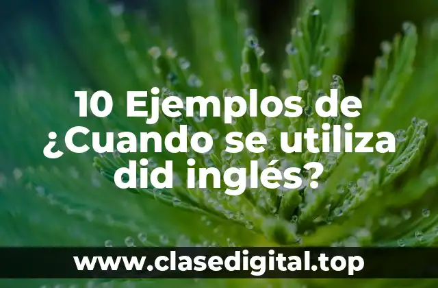 10 Ejemplos de ¿Cuando se utiliza did inglés?