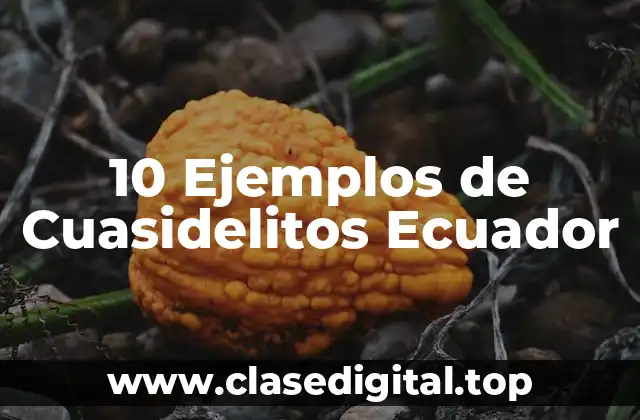 10 Ejemplos de Cuasidelitos Ecuador