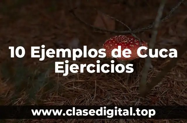 10 Ejemplos de Cuca Ejercicios