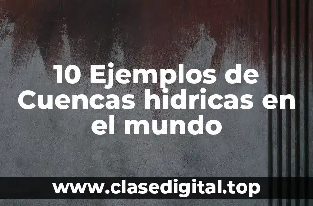 10 Ejemplos de Cuencas hidricas en el mundo