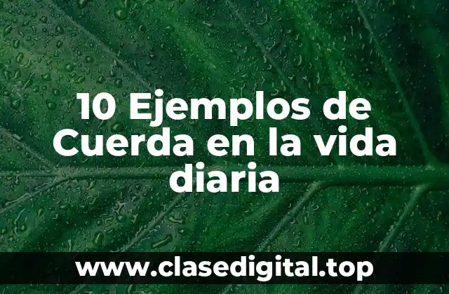 10 Ejemplos de Cuerda en la vida diaria
