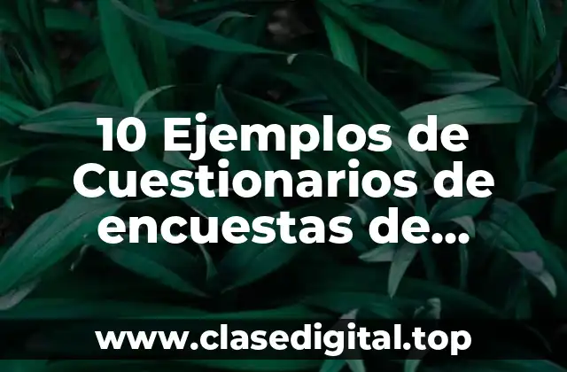 Ejemplos de Cuestionarios de encuestas de productos