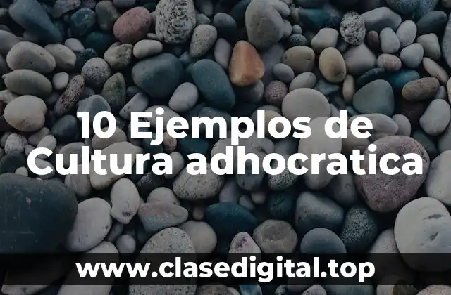 10 Ejemplos de Cultura adhocratica