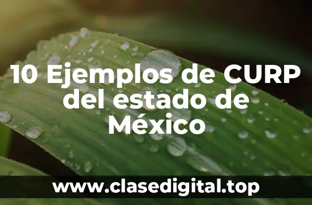 10 Ejemplos de CURP del estado de México
