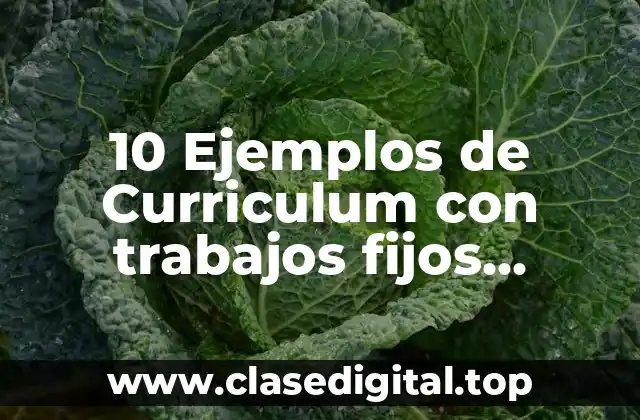 10 Ejemplos de Curriculum con trabajos fijos discontinuos