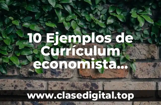 10 Ejemplos de Currículum economista, Definición, Diferencias y para que sirve
