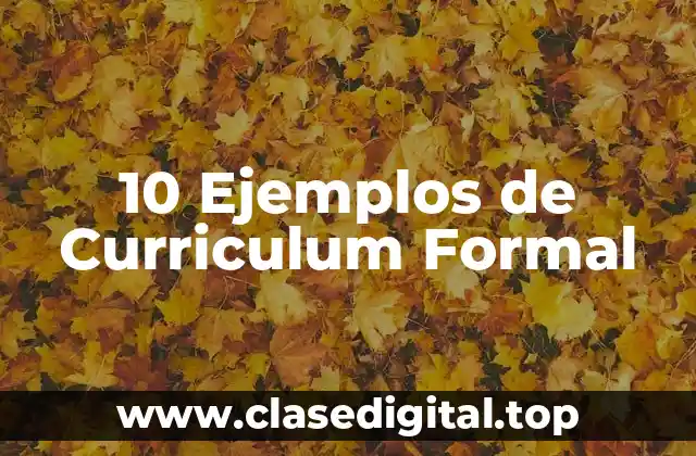10 Ejemplos de Curriculum Formal