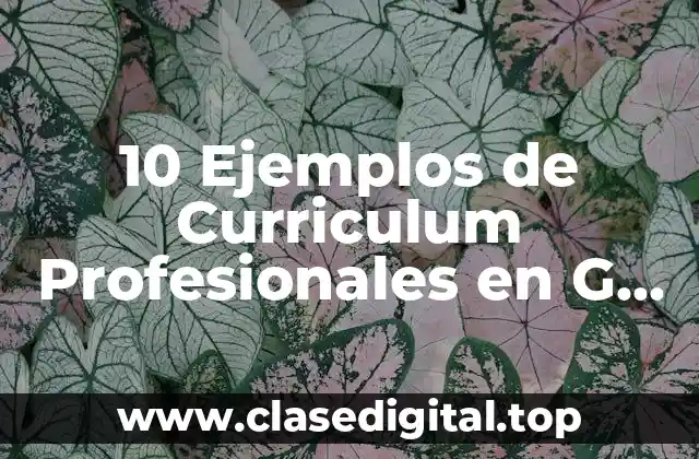 10 Ejemplos de Curriculum Profesionales en G Suite