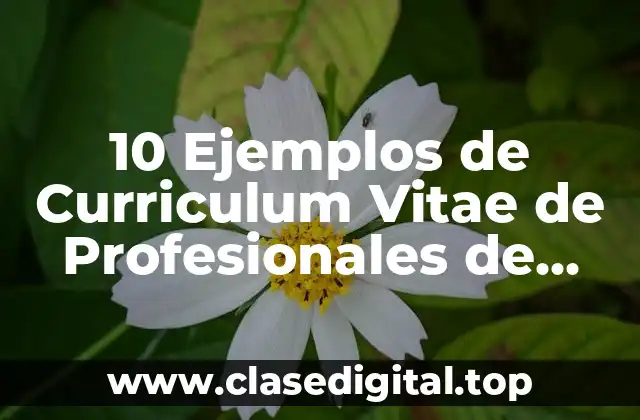 10 Ejemplos de Curriculum Vitae de Profesionales de Inglés