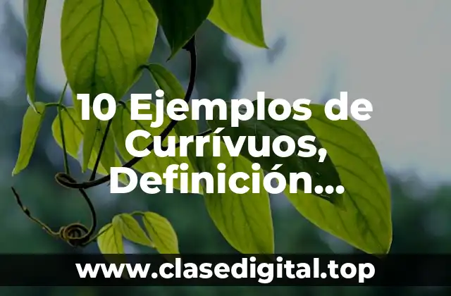 10 Ejemplos de Currívuos, Definición, Diferencias y para que sirve