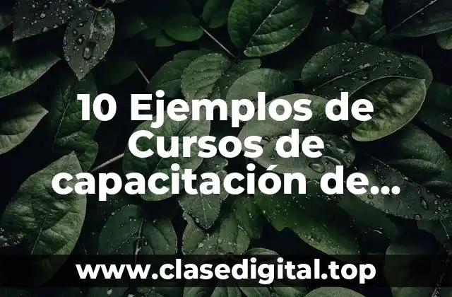 10 Ejemplos de Cursos de capacitación de instructores