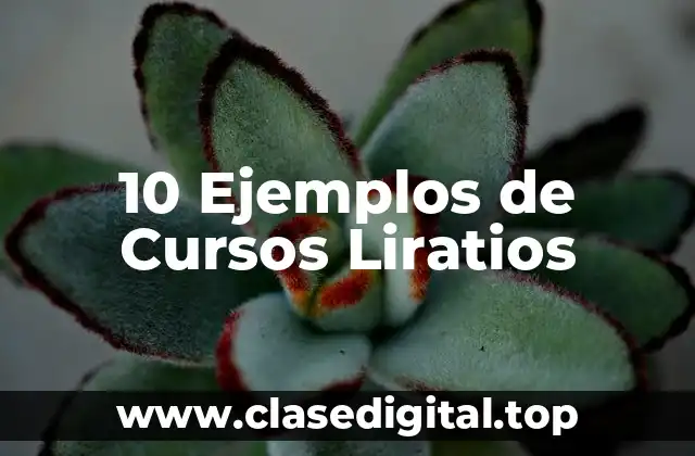 10 Ejemplos de Cursos Liratios