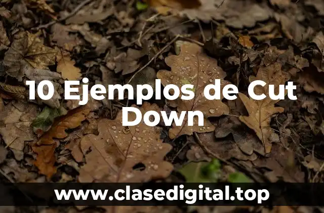 10 Ejemplos de Cut Down