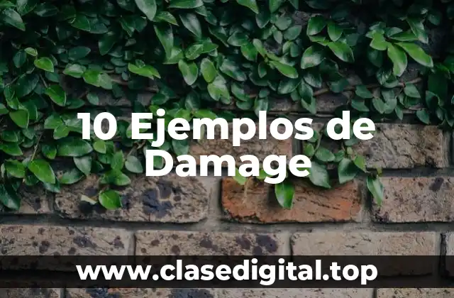 10 Ejemplos de Damage