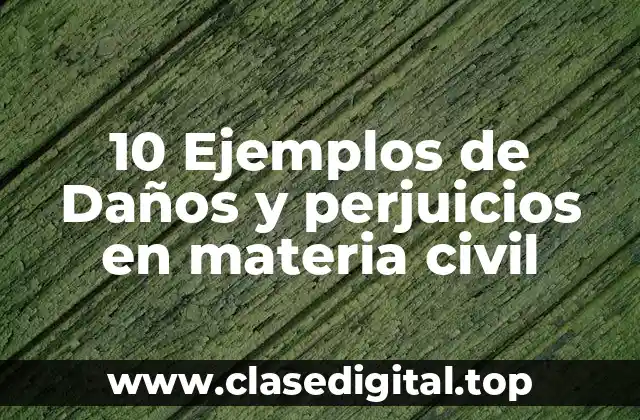 10 Ejemplos de Daños y perjuicios en materia civil