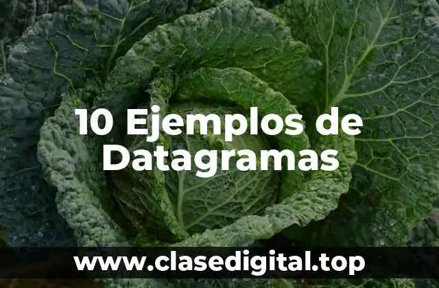 Ejemplos de datagramas