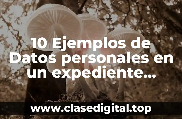 10 Ejemplos de Datos personales en un expediente clínico