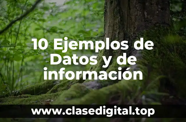 10 Ejemplos de Datos y de información