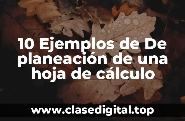 10 Ejemplos de De planeación de una hoja de cálculo
