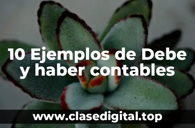 10 Ejemplos de Debe y haber contables
