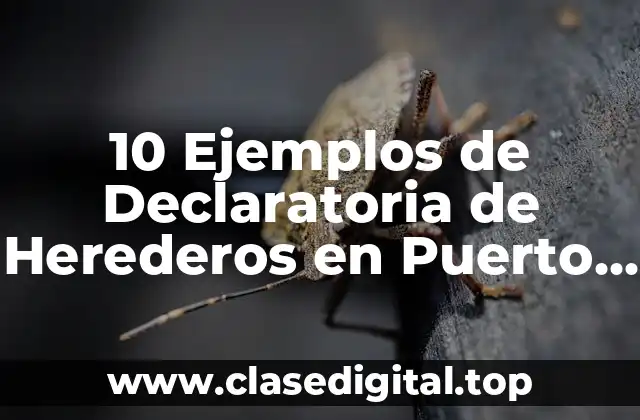 10 Ejemplos de Declaratoria de Herederos en Puerto Rico