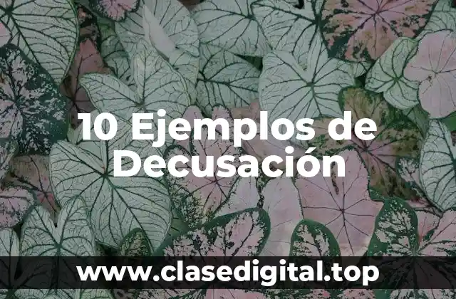 10 Ejemplos de Decusación