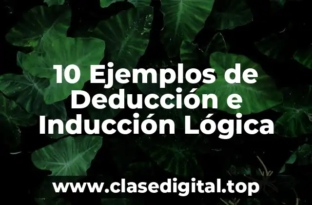 10 Ejemplos de Deducción e Inducción Lógica