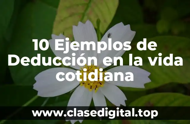 10 Ejemplos de Deducción en la vida cotidiana