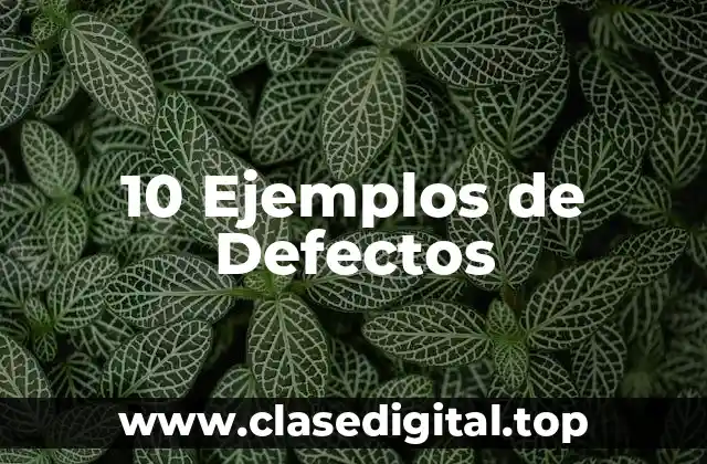 10 Ejemplos de Defectos