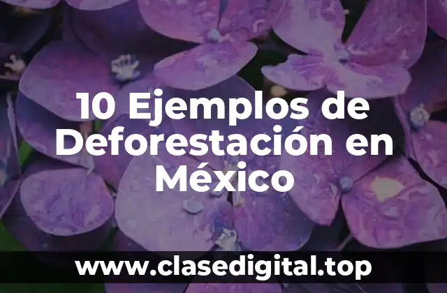 10 Ejemplos de Deforestación en México