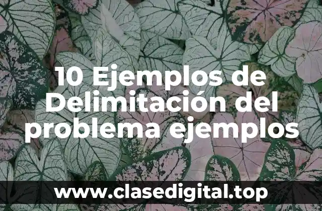 10 Ejemplos de Delimitación del problema ejemplos