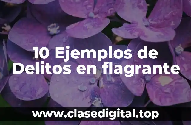 10 Ejemplos de Delitos en flagrante