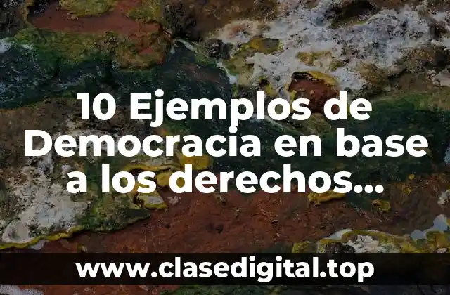10 Ejemplos de Democracia en base a los derechos humanos