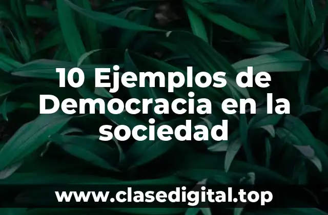 10 Ejemplos de Democracia en la sociedad