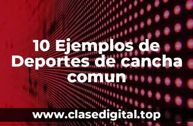 10 Ejemplos de Deportes de cancha comun