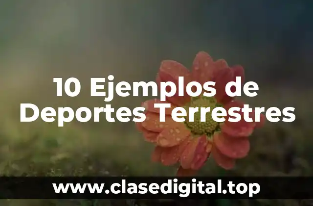 10 Ejemplos de Deportes Terrestres