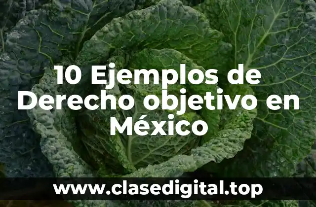 10 Ejemplos de Derecho objetivo en México