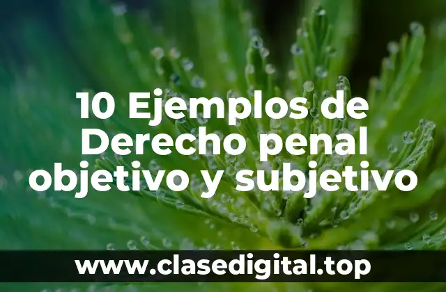 Ejemplos de derecho penal objetivo y subjetivo