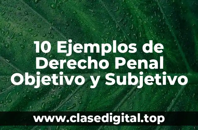 Ejemplos de Derecho Penal Objetivo y Subjetivo
