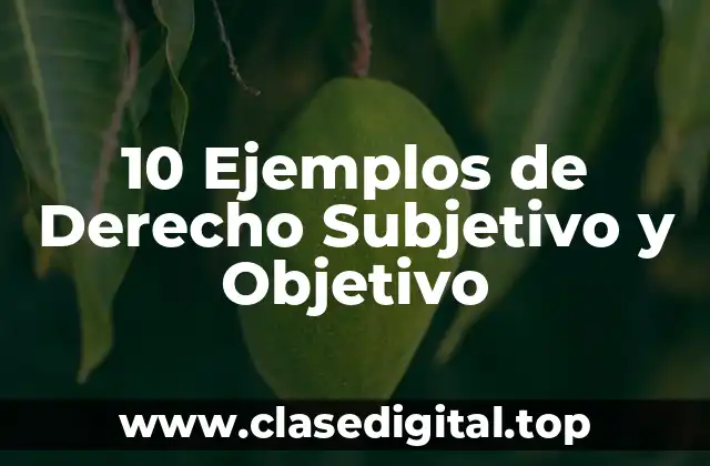 10 Ejemplos de Derecho Subjetivo y Objetivo
