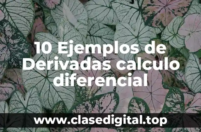 10 Ejemplos de Derivadas calculo diferencial